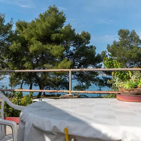 Apartment Kalma Zadar